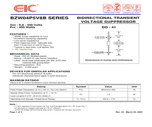 BZW04-10B.pdf