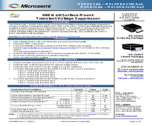 MASMBJ30A.pdf