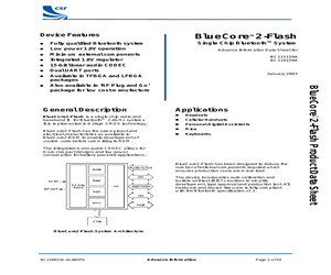 BLUECORE 2 FLASH.pdf