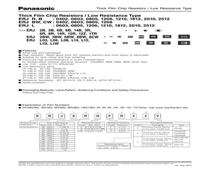 ERJ6BWFR100V.pdf