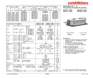 SKKT161/08D.pdf