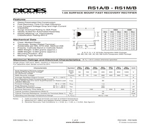 RS1GB-7.pdf