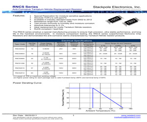 RNCS0402BTS132R.pdf