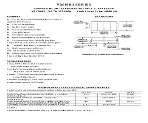 P6SMBJ110CA.pdf