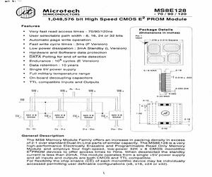 MS8E128LEFBSS2-120.pdf