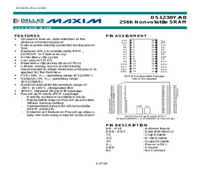 DS1230Y-100+.pdf