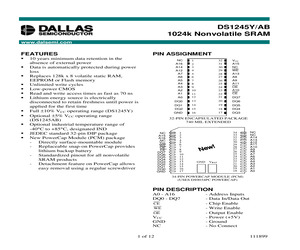 DS1245Y-100IND.pdf